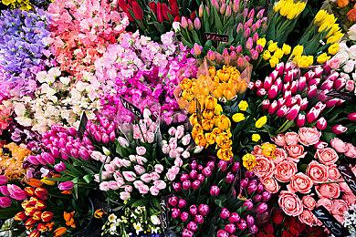 《流放之路2》新版本发布日期曝光 开发商介绍新内容