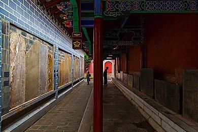 《怪物猎人：荒野》销量低迷 Capcom股价暴跌9.5%